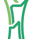 آسيا, كأس الخليج